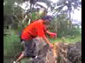 bunso-scandal.html