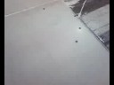 jorge haciendo paracaidismo