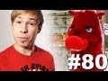 Конь Долбак (´･ω･`) [Dumbag horse] | Просмотры: 1,921,030