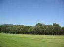 SPEED! bullit rc plane SPEED! bullit rc plane