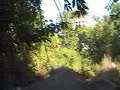 thumpstar / pitbike goasty