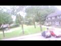 videos de Giant spider in the tree!