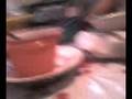 videos de NIÑA GROSERA ECATEPEC