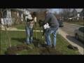 Planting Containerized Trees with KIB