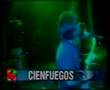 Cienfuegos - Love Will Tear Us Apart (Joy Division)
