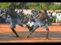 Dambe at the Argungu