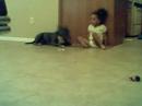AMAYA\ AMAYA\