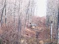Big Zipline