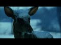 The Weather Man (2005) - [Edited by Zdar]
