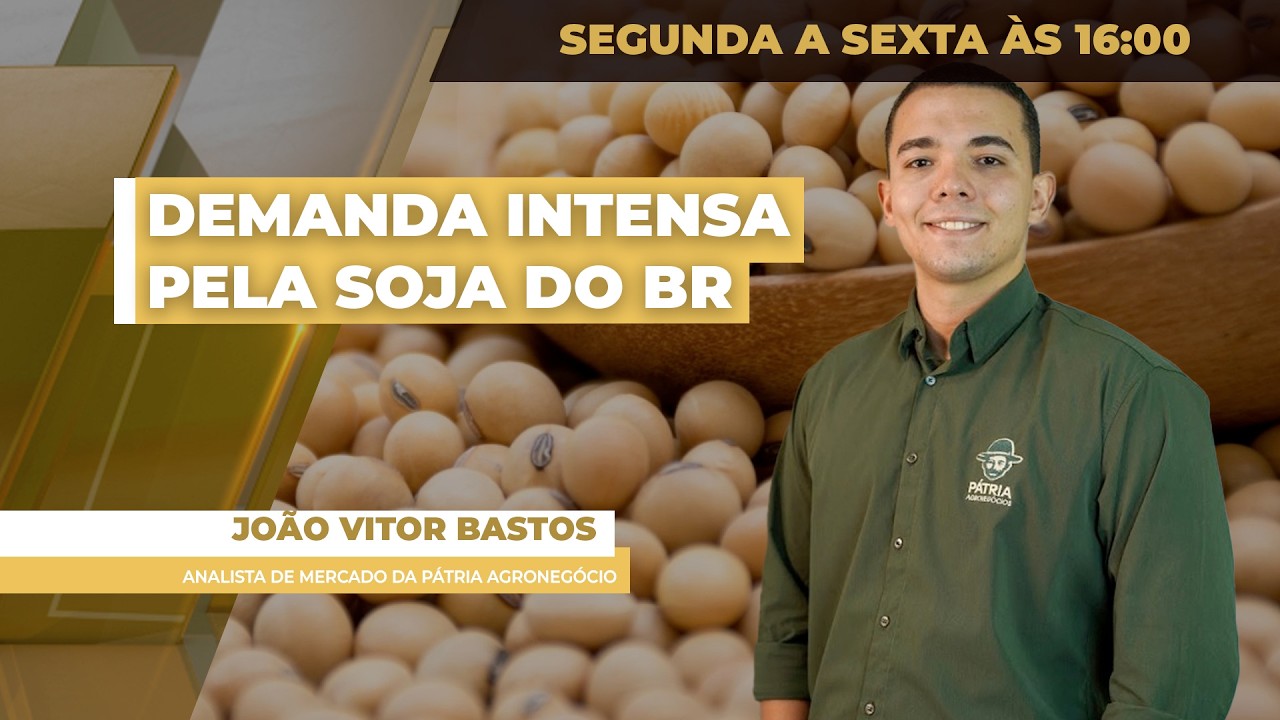 BR já tem quase 25 mi de t de soja entre embarques e lineup, volume 40% maior em relação a 2025