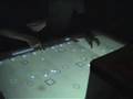 multitouch loopArena MTC performance @ superbooth lounge
