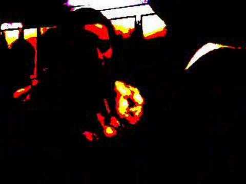 Dasey-Grounded