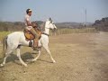 Remo - Fen�meno da Lacita