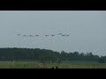 Killing 3 banded geese out of 1 group with SWAT pt1of2 Killing 3 banded geese out of 1 group with SWAT pt1of2