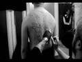 Irezumi - The Art of Japanese Tattoo