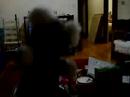 Little J Dancing to Neverending Story