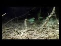 film en eau douce
