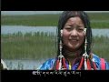 Tibetan Song Nga Yi Sem Ting Gi Metok - Rigzin Dolma