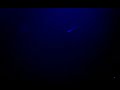 Peter Rauhofer Live @ The Factory - Part 4