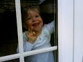 Window Licker Window Licker
