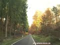 Street View  ( Eine Fahrt durch den Pf�lzer Wald )