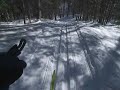Rock Lake classic XC trail- Cable, Wisconsin