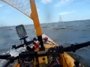 al stillman   hobie ai sailing