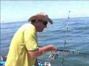 Ca��o - Pescaria no Mar Azul (peska.com.br)