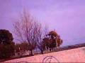 videos de FLIP