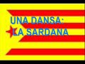 EST 01 ... èric bertran army phoenix harry potter order catalan catalonia eric exèrcit exercit fènix fenix 