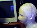 overnightcat.wmv