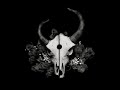 demon hunter, album pic, not my music