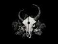 demon hunter, album pic, not my music