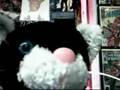 The HAPPY SHOW! Crazy Cat Pete's 1st V-Blog!