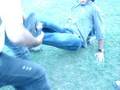 videos de section-d