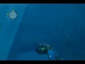 Wii EndlessOcean (JP Forever Blue) - Swimming Around... Wii EndlessOcean (JP Forever Blue) - Swimming Around...