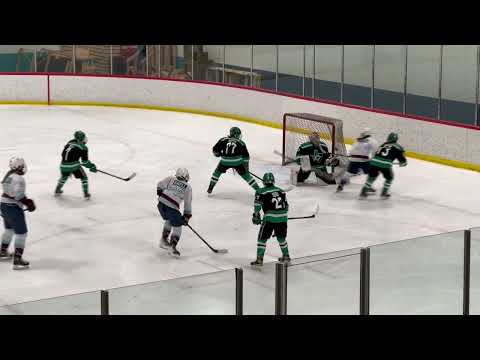 NGHL Ann Arbor vs Florida Alliance - November 2024