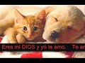 Te Amo  Con la letra WMV V9