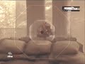 Tzrizzler - Gears of War Montage 3