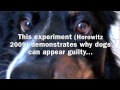 Is Denver Really Guilty?