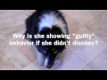 Is Denver Really Guilty?
