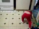 eli dances up a storm