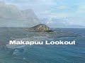One Day Tours Hawaii - great shoreline excursion One Day Tours Hawaii - great shoreline excursion