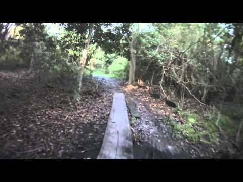 Markham Park Mountain Bike Trail Highlights.