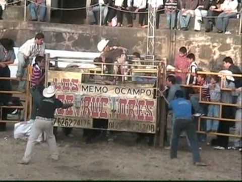 Ver Video