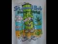 spongebob theme song nott its fealy funny