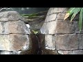birds @ louisville zoo