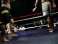 the starfish vs the jellyfish.MOV