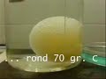 Ei + azijn = windei (egg + vinager)
