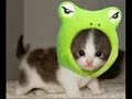 crazy frog crazy frog